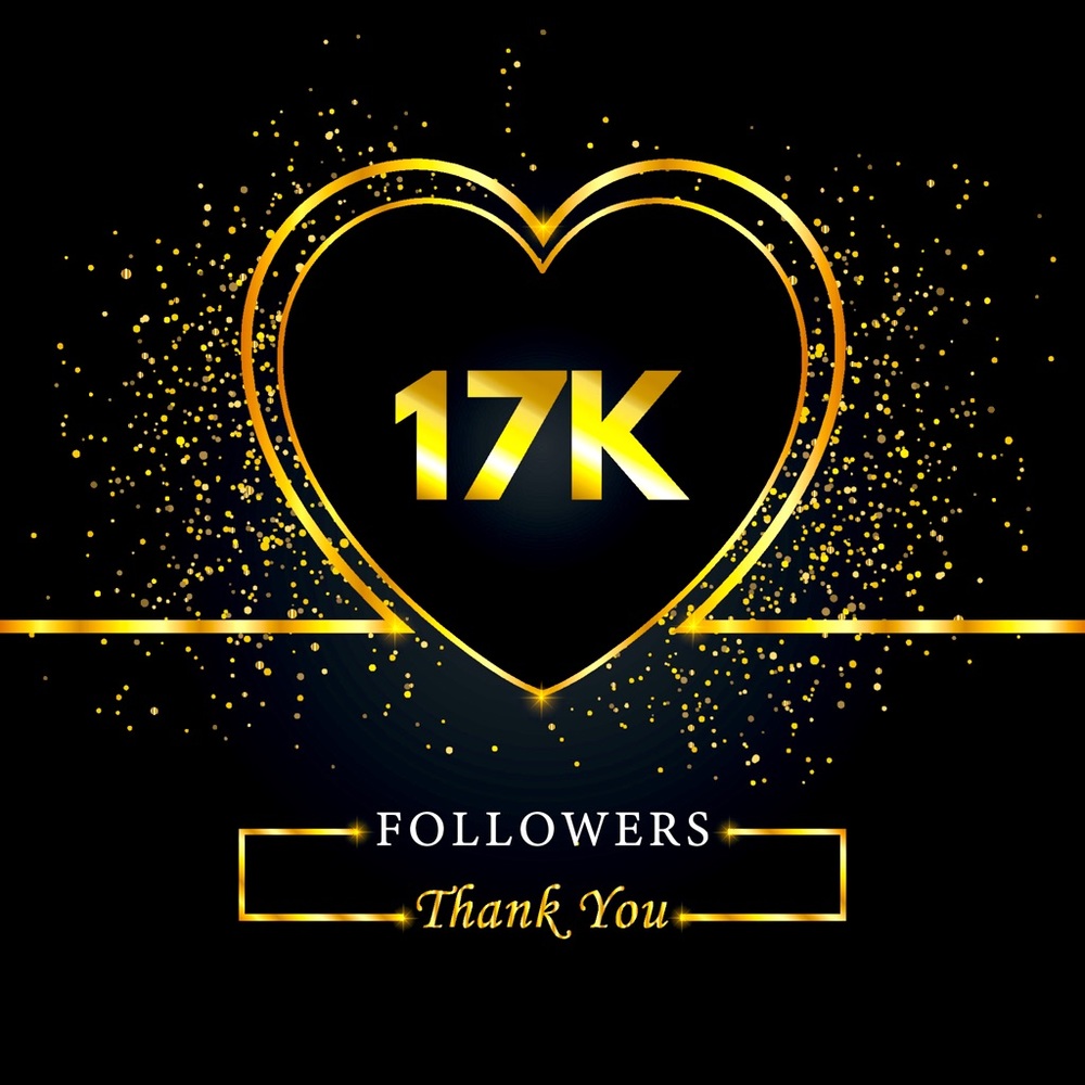 Thank you to all my followers!